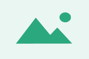 TFM Tool Pro Activation (2 Years)